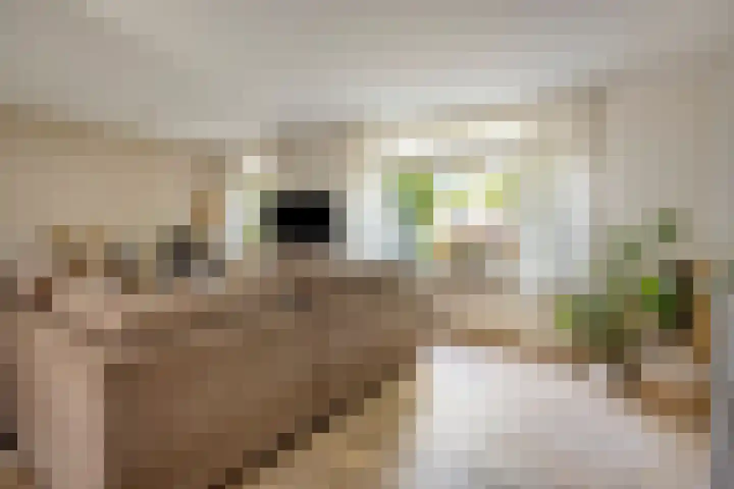 Platanenlaan 56 Renswoude thumbnail 5