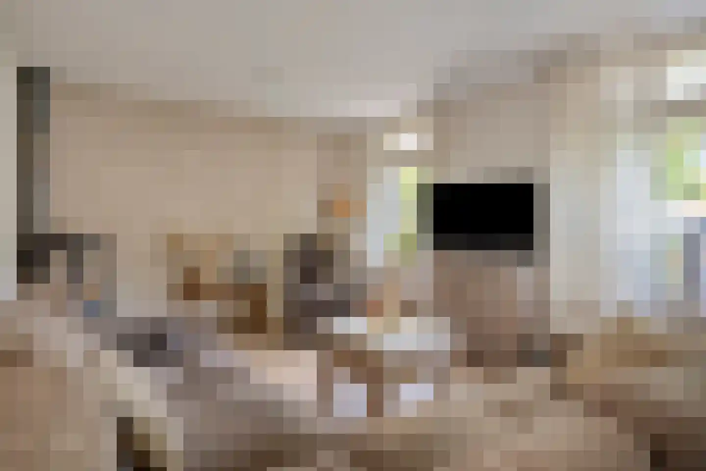 Platanenlaan 56 Renswoude thumbnail 6