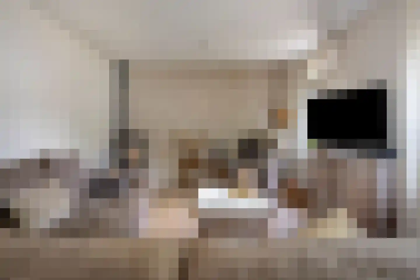 Platanenlaan 56 Renswoude thumbnail 7