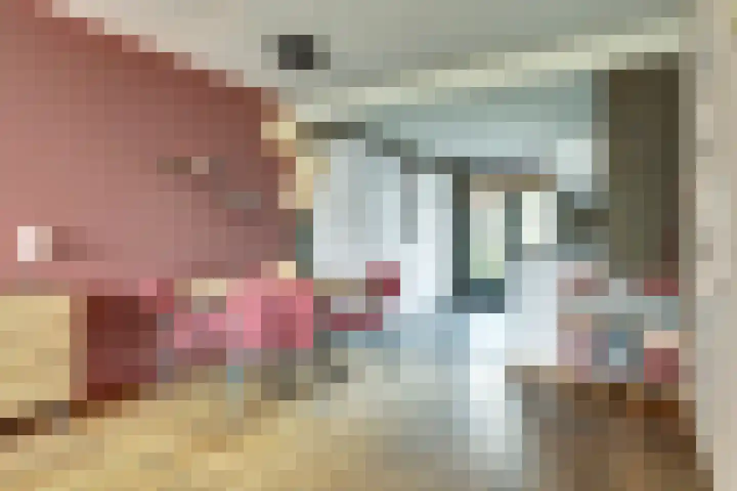 Platanenlaan 6 Grootebroek thumbnail 11