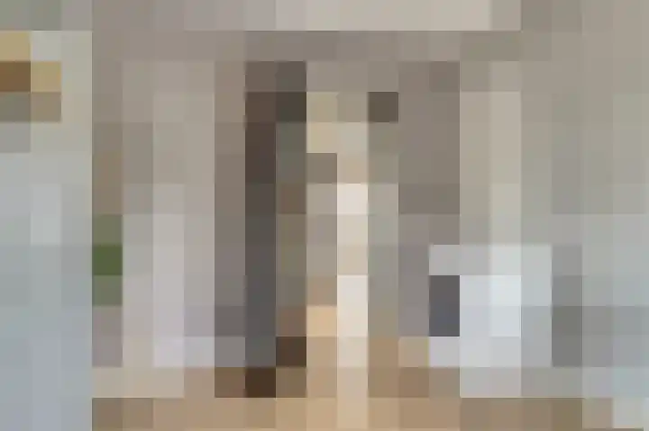 Platanenlaan 6 Grootebroek thumbnail 19