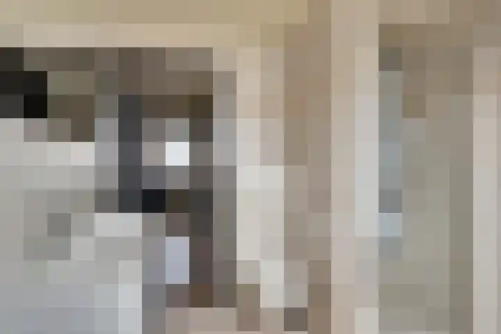 Platanenlaan 6 Grootebroek thumbnail 27