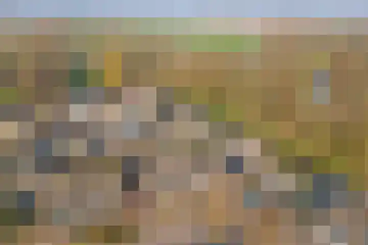 Platanenlaan 6 Grootebroek thumbnail 36