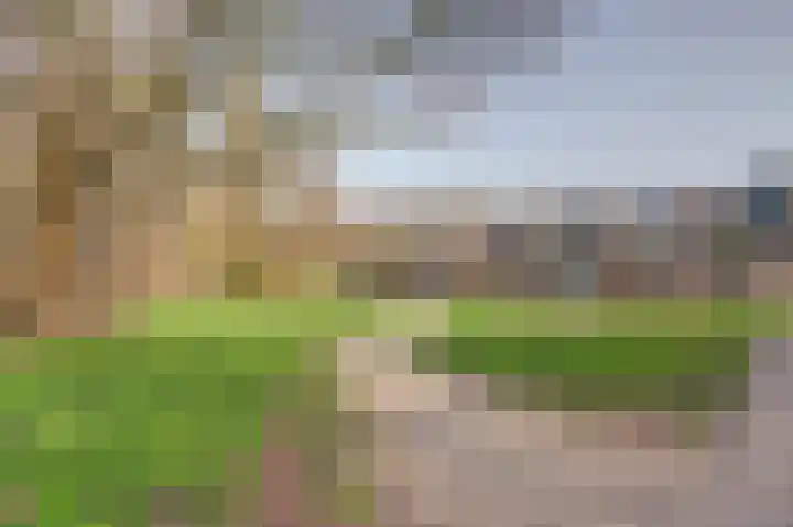 Platanenlaan 6 Grootebroek thumbnail 37