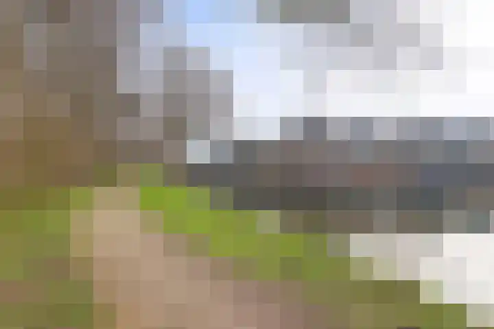 Platanenlaan 6 Grootebroek thumbnail 38