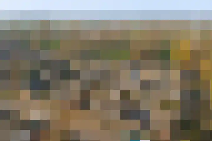 Platanenlaan 6 Grootebroek thumbnail 4