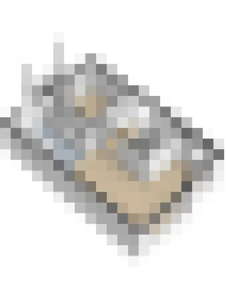Platanenlaan 6 Grootebroek thumbnail 41