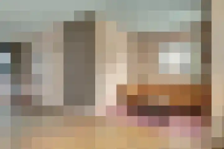 Platanenlaan 6 Grootebroek thumbnail 8