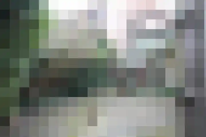 Platanenlaan 6 Zwanenburg thumbnail 17