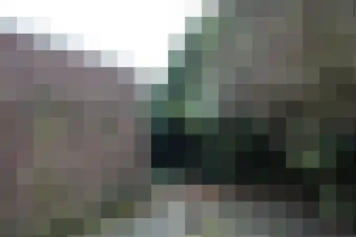 Platanenlaan 6 Zwanenburg thumbnail 19