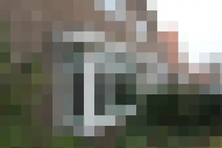 Platanenlaan 6 Zwanenburg thumbnail 43