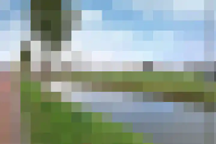 Platanenlaan 64 Nederhorst den Berg thumbnail 15