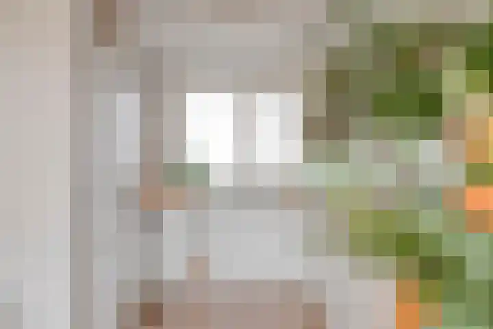 Platanenlaan 8 Sint Odiliënberg thumbnail 11