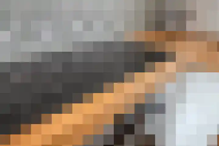 Platanenlaan 8 Sint Odiliënberg thumbnail 14