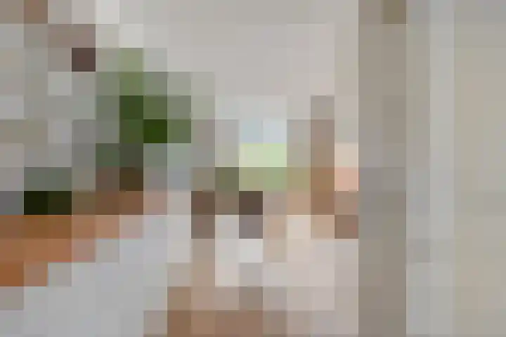Platanenlaan 8 Sint Odiliënberg thumbnail 15