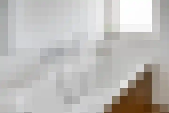 Platanenlaan 8 Sint Odiliënberg thumbnail 21
