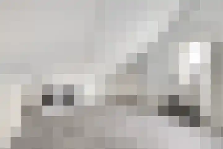 Platanenlaan 8 Sint Odiliënberg thumbnail 25