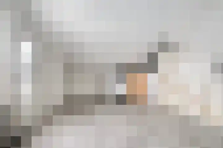 Platanenlaan 8 Sint Odiliënberg thumbnail 26