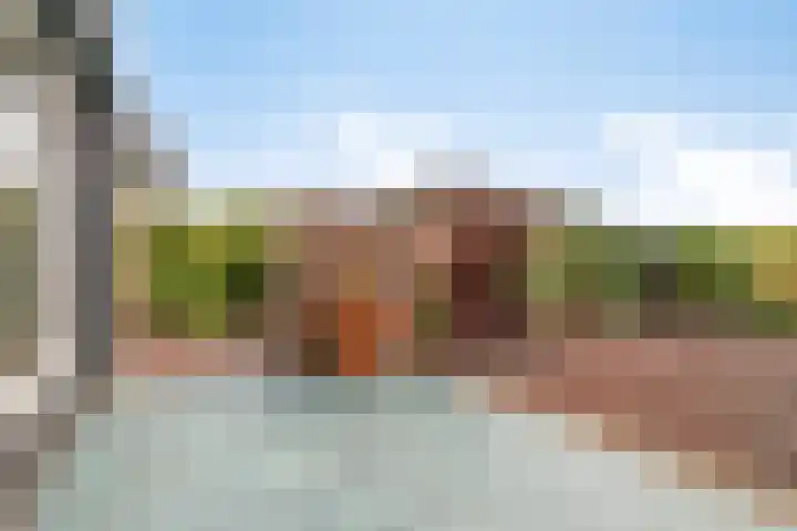 Platanenlaan 8 Sint Odiliënberg thumbnail 27