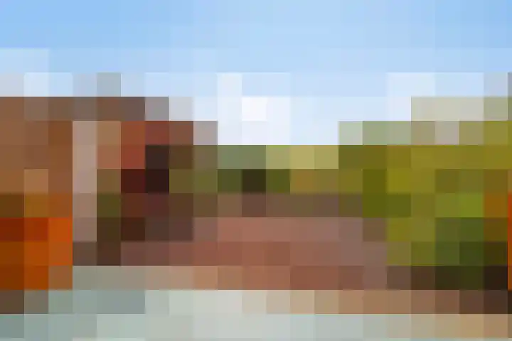 Platanenlaan 8 Sint Odiliënberg thumbnail 28
