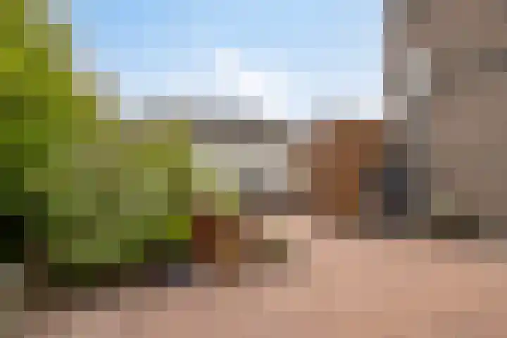 Platanenlaan 8 Sint Odiliënberg thumbnail 30