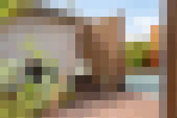 Platanenlaan 8 Sint Odiliënberg thumbnail 31