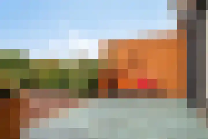 Platanenlaan 8 Sint Odiliënberg thumbnail 33