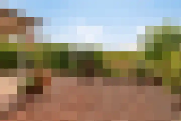Platanenlaan 8 Sint Odiliënberg thumbnail 34