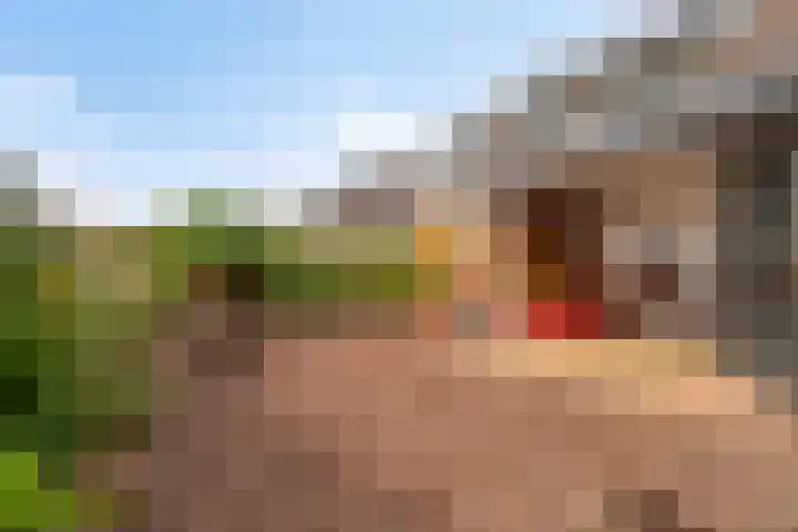 Platanenlaan 8 Sint Odiliënberg thumbnail 36
