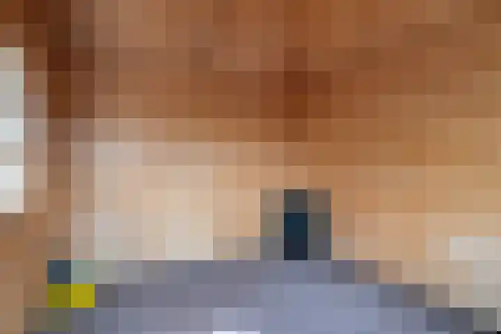 Platanenlaan 8 Sint Odiliënberg thumbnail 38