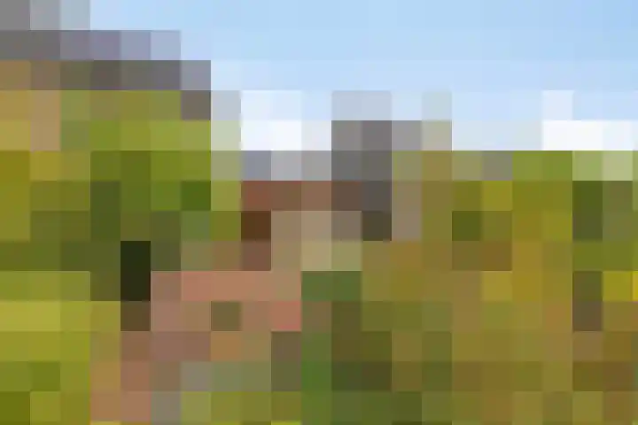 Platanenlaan 8 Sint Odiliënberg thumbnail 39