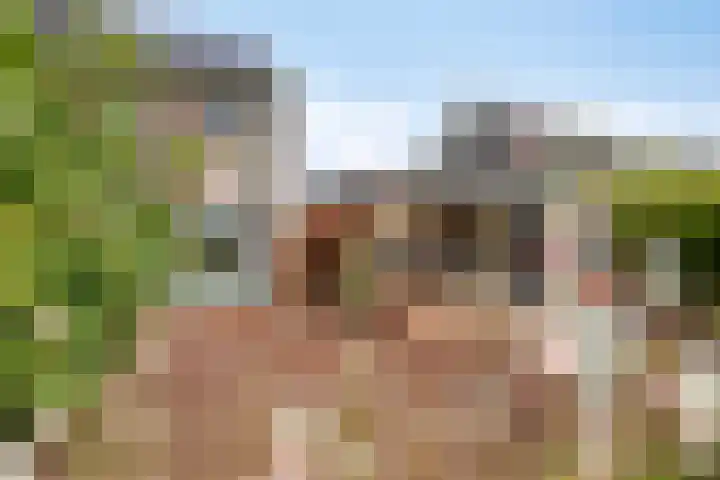 Platanenlaan 8 Sint Odiliënberg thumbnail 40
