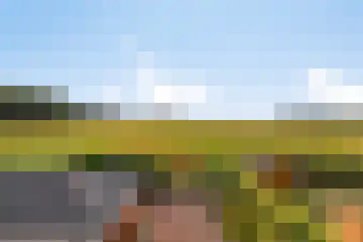 Platanenlaan 8 Sint Odiliënberg thumbnail 41