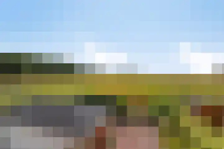Platanenlaan 8 Sint Odiliënberg thumbnail 42
