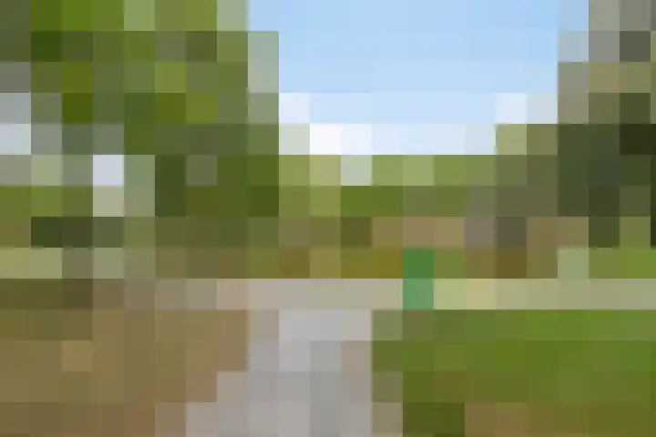 Platanenlaan 8 Sint Odiliënberg thumbnail 44