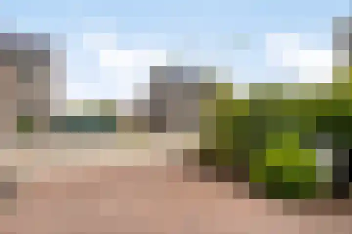 Platanenlaan 8 Sint Odiliënberg thumbnail 48