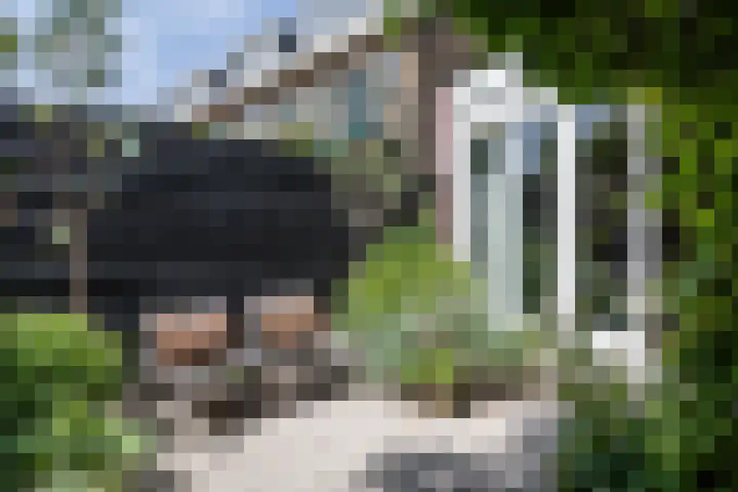 Platanenlaan 89 Bloemendaal thumbnail 16