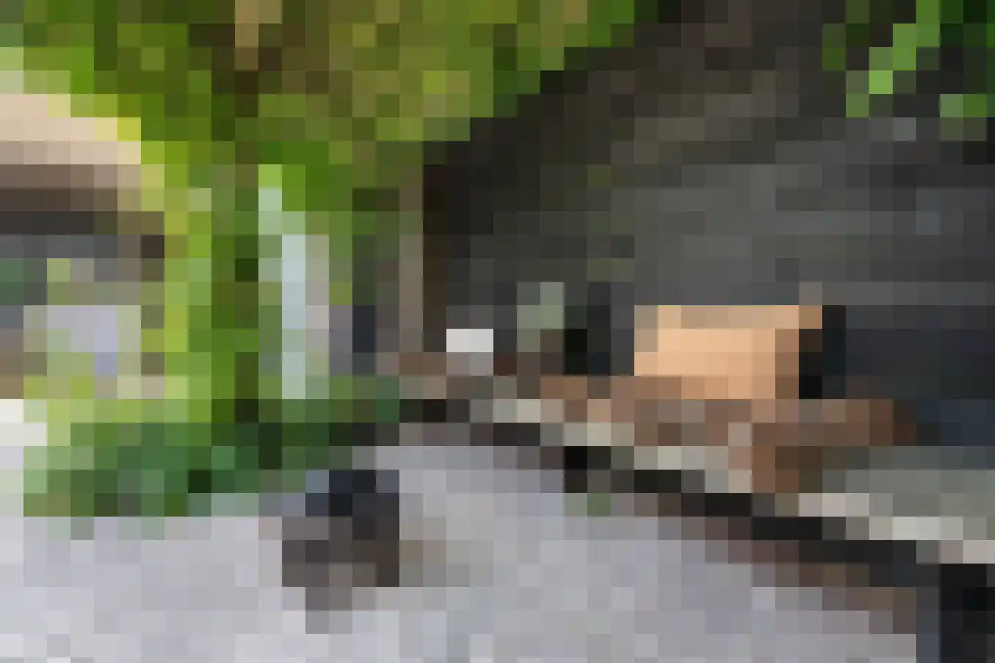 Platanenlaan 89 Bloemendaal thumbnail 18
