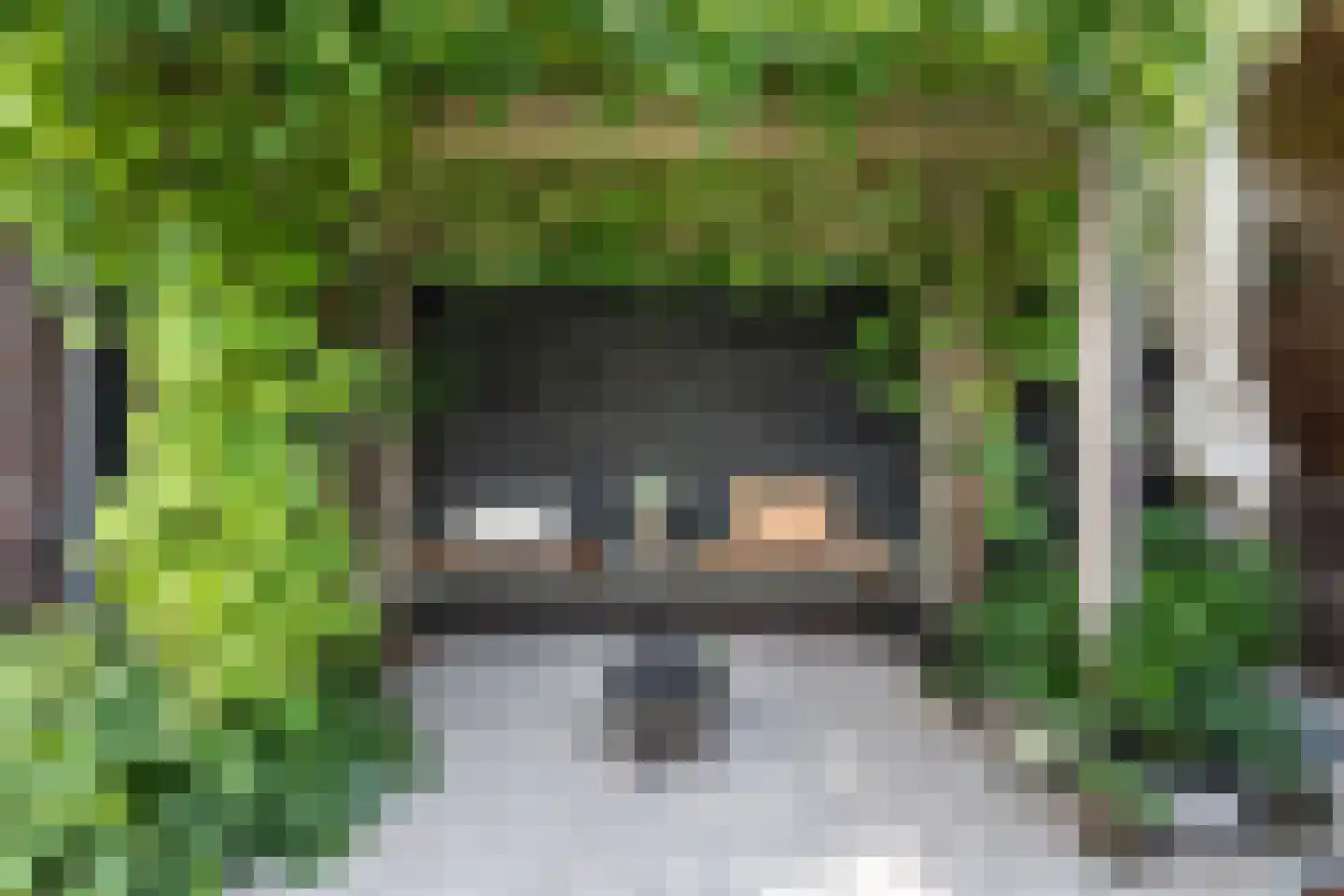 Platanenlaan 89 Bloemendaal thumbnail 19
