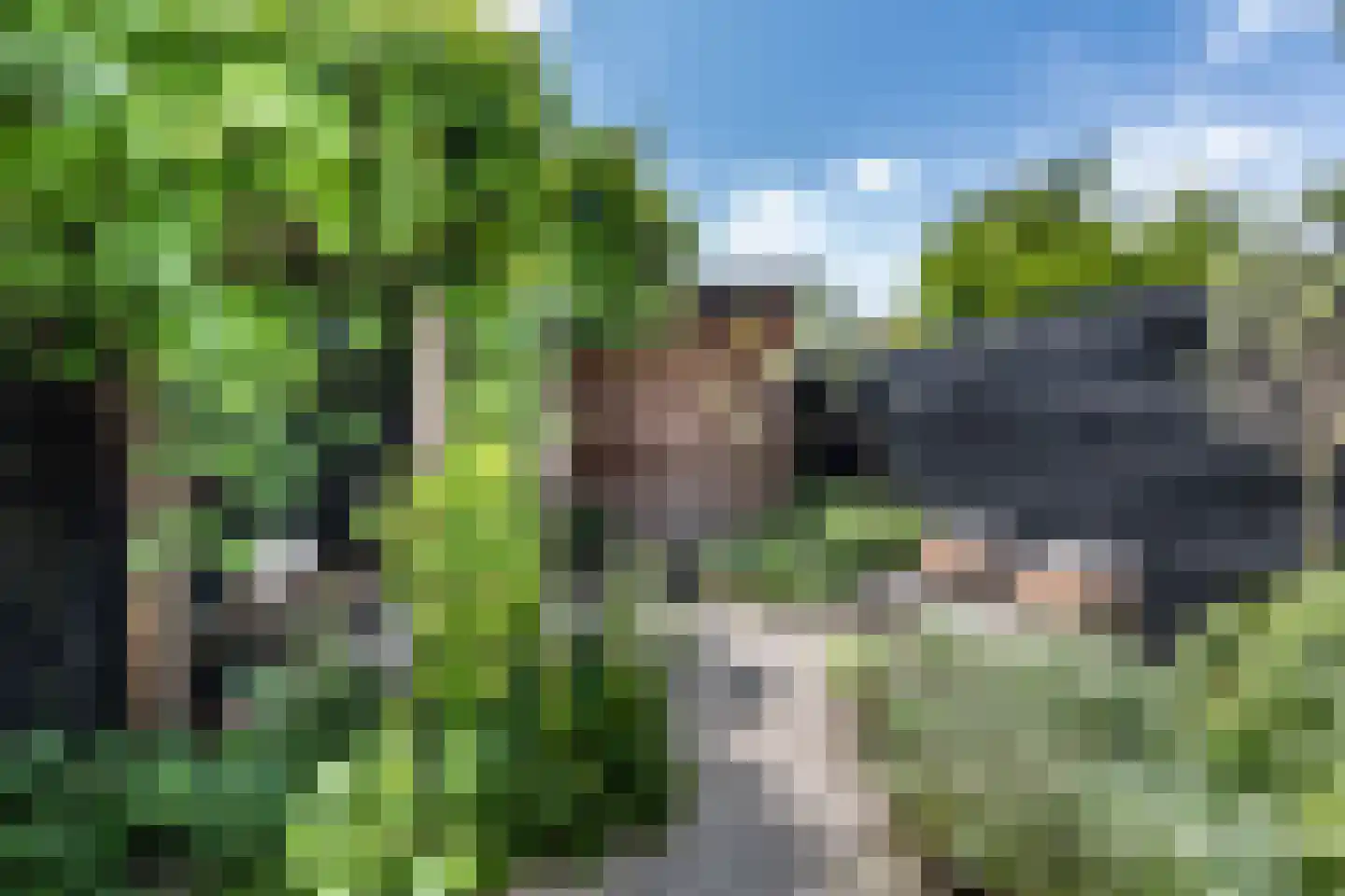 Platanenlaan 89 Bloemendaal thumbnail 20
