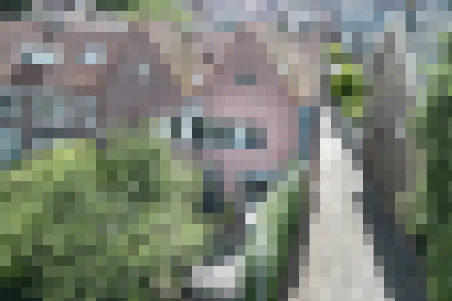 Platanenlaan 89 Bloemendaal thumbnail 4