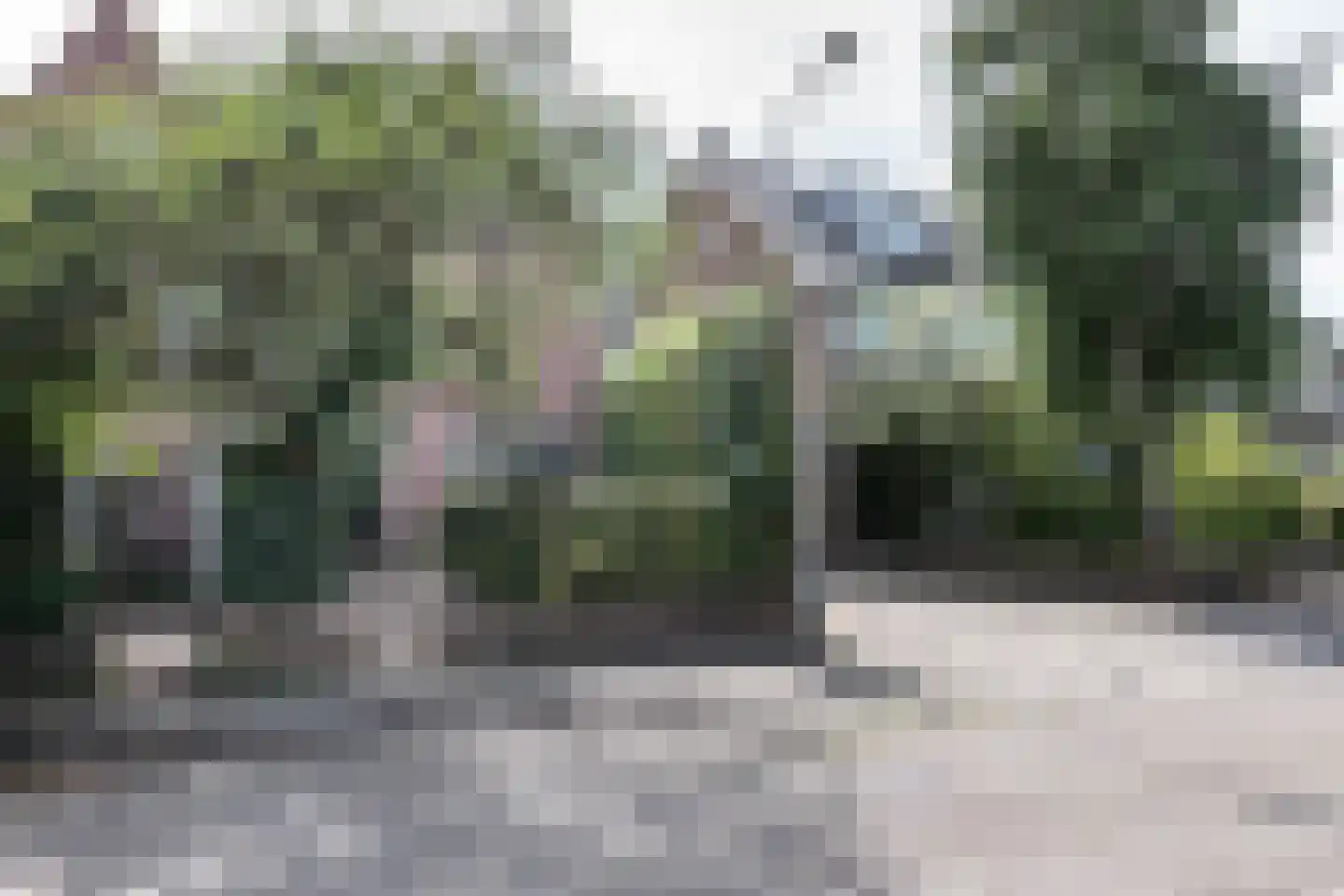 Platanenlaan 89 Bloemendaal thumbnail 49