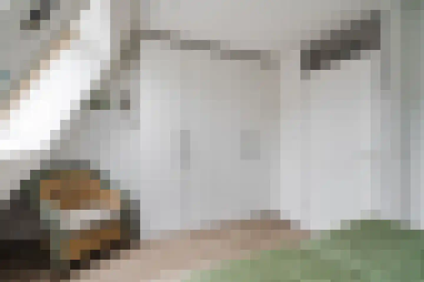 Platanenlaan 9 Leusden thumbnail 17