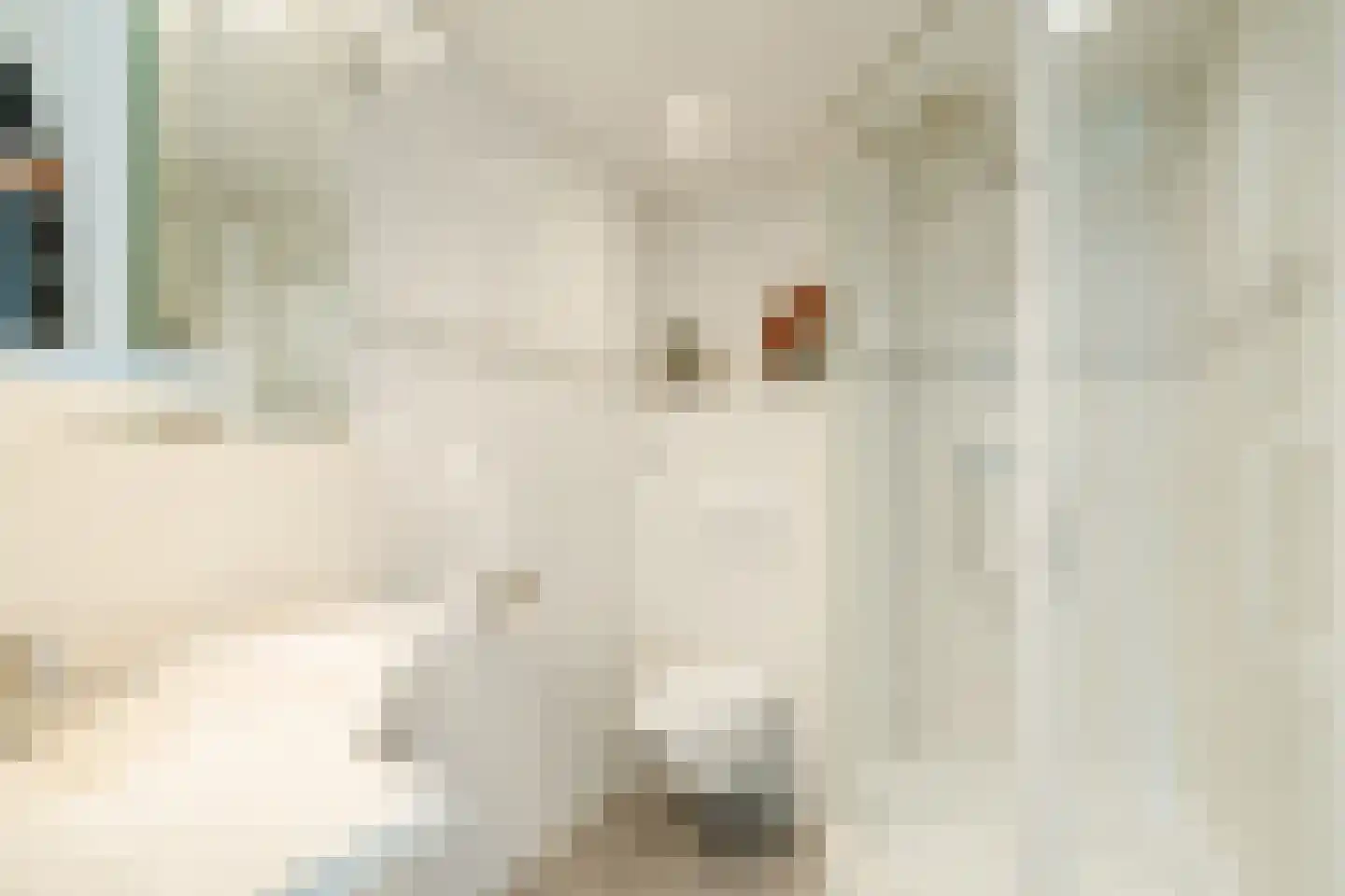 Platanenlaan 9 Leusden thumbnail 20