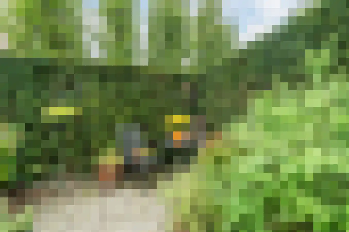 Platanenlaan 9 Leusden thumbnail 31
