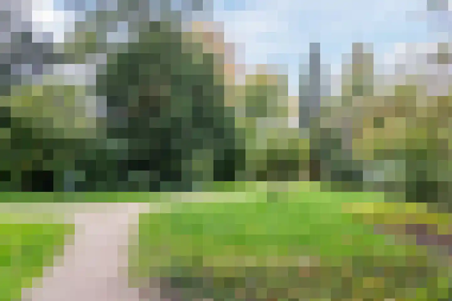 Platanenlaan 9 Leusden thumbnail 32