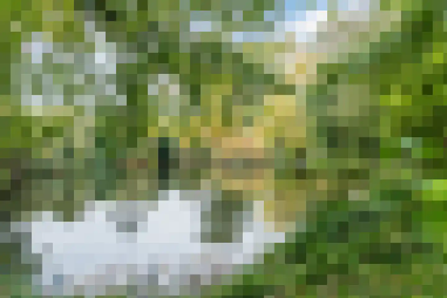 Platanenlaan 9 Leusden thumbnail 33
