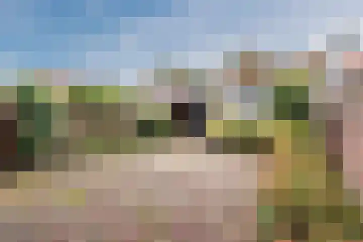 Platanenlaan 9 Nijkerk thumbnail 26