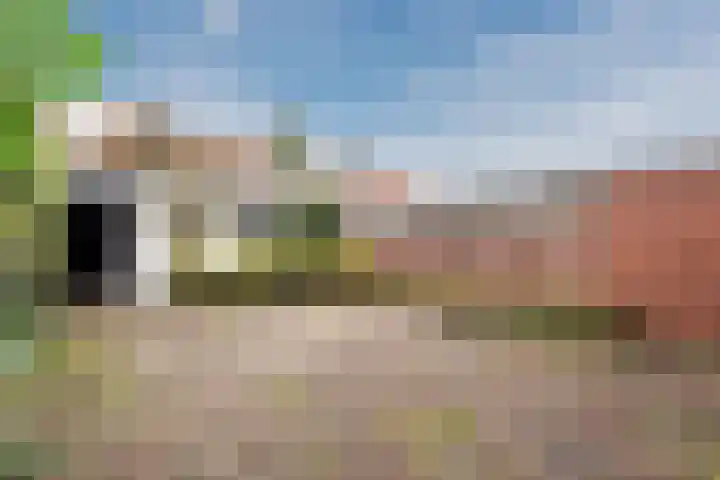 Platanenlaan 9 Nijkerk thumbnail 27