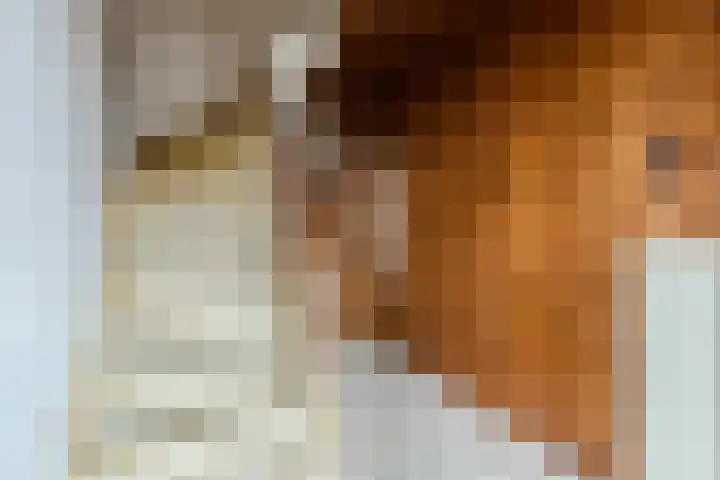 Platanenlaan 9 Nijkerk thumbnail 4